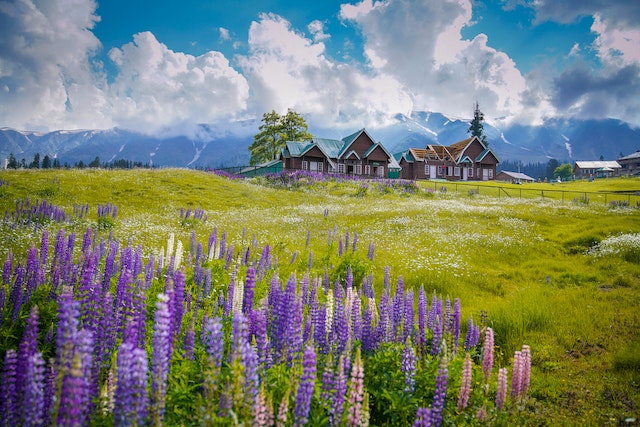 Kashmir Heaven on Earth